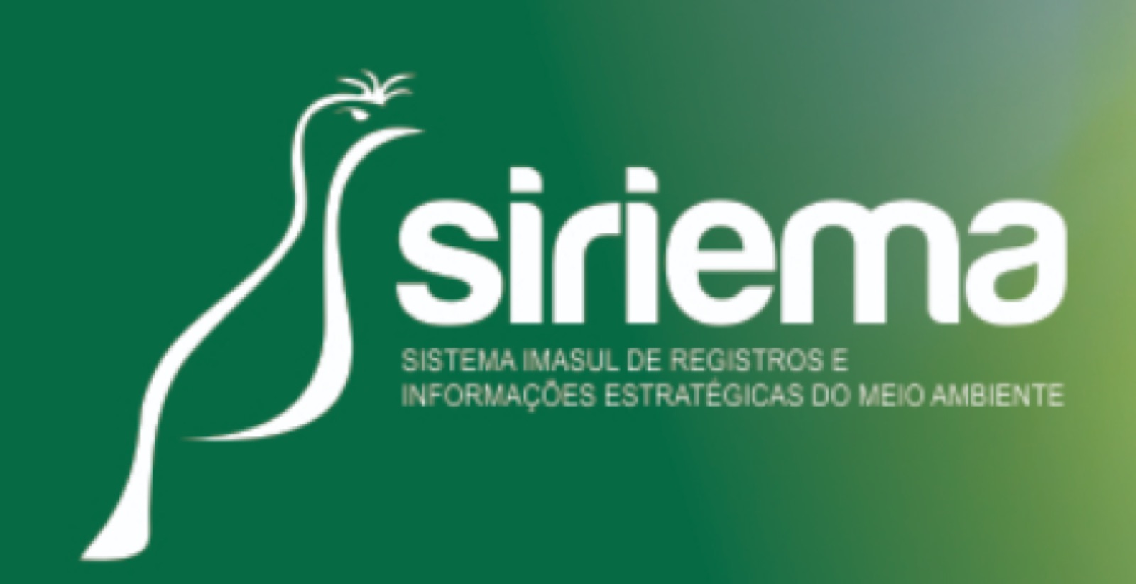 Cadastro de usuários de recursos hídricos no SIRIEMA