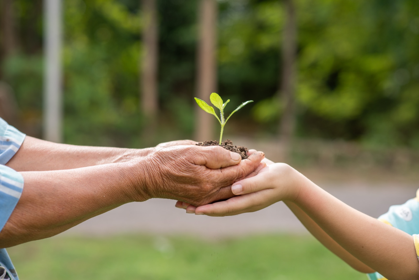 Licenciamento ambiental